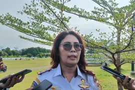 Dishub Mimika: Penerbangan tujuan tiga distrik terkendala operator