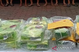 Polda Sumut tangkap 133 tersangka kasus narkoba  awal Maret 2025