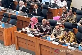 Dirut ANTARA: Penggabungan tiga lembaga penyiaran miliki semangat baik