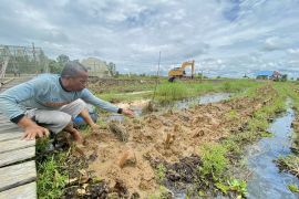Poktan Karya Baru menanam 2.400 bibit Cabai Hiyung dengan metode apung