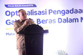 Bulog NTB diminta optimalkan serapan agar tak lagi impor beras