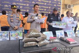 Polresta Jayapura Kota amankan 7 kilogram ganja Rp300 juta