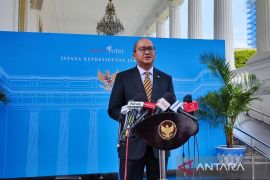 Vinfast bangun pabrik EV di Subang senilai Rp4 triliun