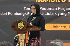 Pemerintah fokus proyek migas untuk gelombang pertama Danantara