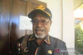 Dinkes siap kontrol pelaksanaan CKG di Papua Pegunungan