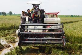Bulog Pati  serap 1.040 ton gabah dan beras petani Jepara