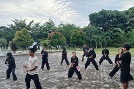PT Timah berikan tempat latihan tingkatkan prestasi atlet pencak silat Barbar