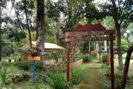 Disbudpar Sumsel tingkatkan keamanan destinasti wisata saat libur Lebaran