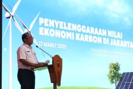 Jakarta jadi pionir penyelenggara  nilai ekonomi karbon di Indonesia karena punya rencana jangka panjang