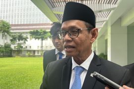 Pemerintah targetkan sampah jadi listrik dan BBM pada 2029