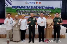 Perum Bulog Sulselbar dibantu TNI-Polri serap beras 579.938 ton