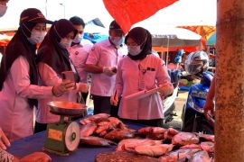 Mutu ikan Bengkulu memuaskan dan bebas formalin