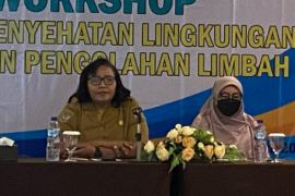 Kadinkes: Kasus ILI tertinggi serang warga Papua Selatan