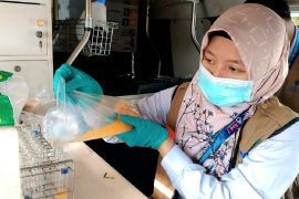 BBPOM periksa sampel kuliner Ramadhan di Sampit, ini hasilnya