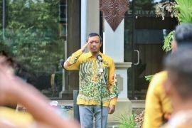 Kalsel tugaskan Polhut awasi jalan rute Batulicin cegah kebun ilegal