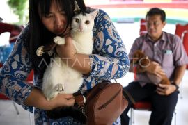Waspada! Ini hewan yang bisa menularkan rabies ke manusia