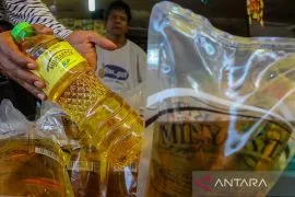 Systemic reform needed to lower Minyakita prices: Expert