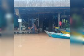 Banjir di Kabupaten Kapuas  banjir landa 10 desa