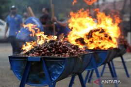 Bea Cukai Aceh musnahkan 1.768 karung bawang merah impor ilegal