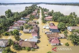BPBD Jambi: Tujuh kabupaten dan kota terendam banjir