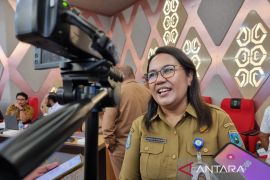 Papua Barat lakukan penyesuaian RPJMD 2025-2029 dan RKPD 2025