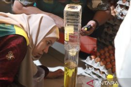 Satgas pangan Kaltim  temukan minyak goreng di bawah takaran