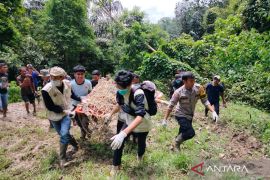 Konflik harimau buntung di Agam berakhir di kandang jebak