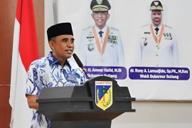 Gubernur Sulteng  ajak IBI berkolaborasi wujudkan layanan kesehatan berkualitas
