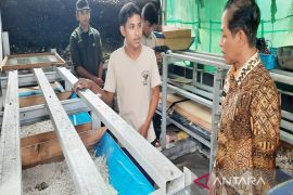 Menteri LH puji budidaya maggot di Banjarbaru