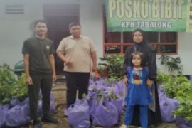 KPH Tabalong gencarkan revolusi hijau