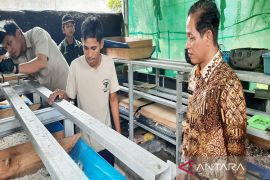 Menteri LH puji budidaya maggot atasi sampah di Pasar Bauntung Banjarbaru