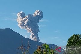Gunung Marapi Sumbar terus tunjukkan aktivitasnya