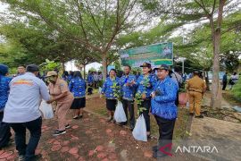 Dishut Papua Barat bagikan 700 bibit pohon gratis