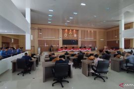 Wabup Debby sampaikan RPJMD Bangka Selatan tahun 2025-2029