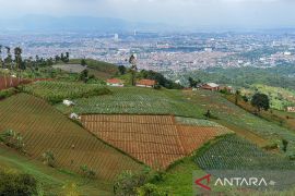 Lahan kritis kawasan Bandung Utara