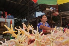 DPKP Tulungagung pastikan produk hewan aman dan halal selama Ramadhan