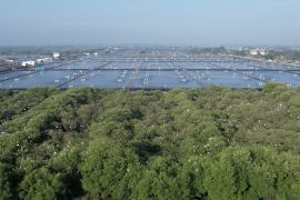 KKP lakukan kajian lingkungan hidup merevitalisasi tambak Pantura