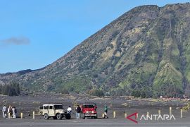 TNBTS: Penemuan ladang ganja di luar jalur Bromo dan Semeru