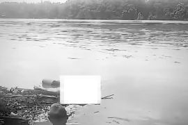 Polisi selidiki penemuan mayat di aliran sungai Desa Danau Cala Muba