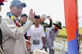 South Kalimantan must increase planting index three times: Agriculture Minister