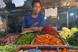 Harga pangan Selasa, cabai rawit Rp89.400/kg, telur ayam Rp30.150/kg