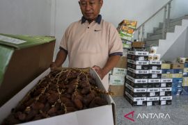 Volume impor kurma Februari 2025