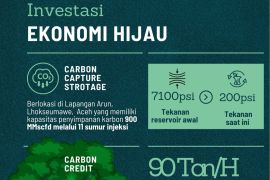 Songsong investasi global, PEMA fokus kembangkan ekonomi hijau