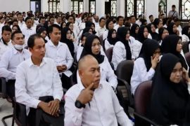 Tenaga kontrak Pemkab Kotim juga diberi THR