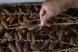 Alasan Rasulullah SAW mengonsumsi kurma dalam jumlah ganjil