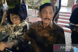Ketua DEN sebut Presiden bakal temui investor setelah IHSG anjlok