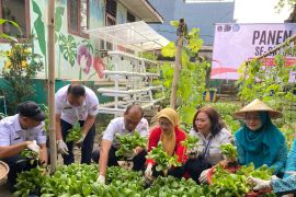 Jakbar panen ratusan kilogram ikan dan sayuran di 30 lokasi