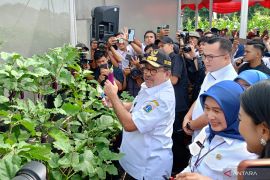 Pemprov DKI panen serentak 20 ton cabai hingga ikan di 266 titik wilayah Jakarta