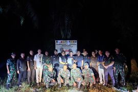 Satgas PKH tertibkan lahan sawit di Dharmasraya