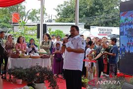 Rano minta setiap wilayah Jakarta punya kampung binaan pangan